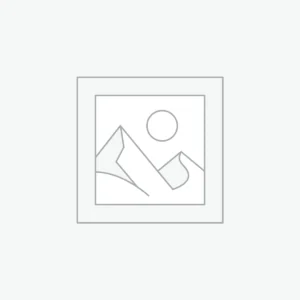 Nike Air Zoom Pegasus