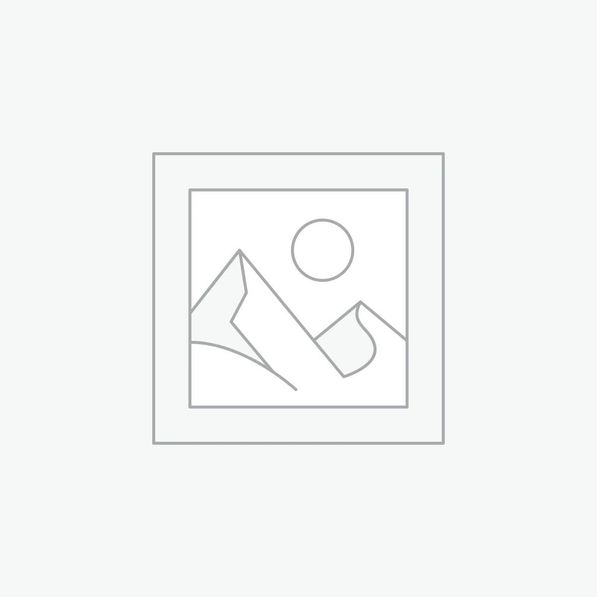 Nike Air Zoom Pegasus